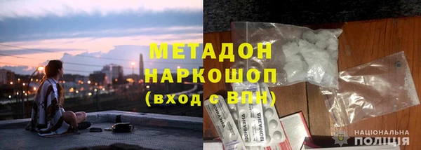 гидра Кодинск