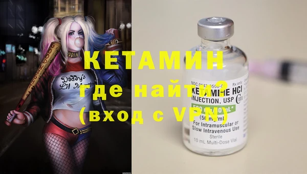 гидра Кодинск