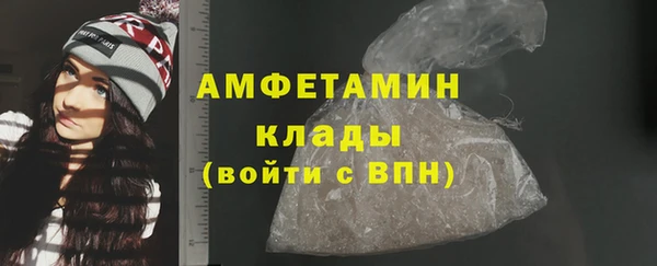 гидра Кодинск