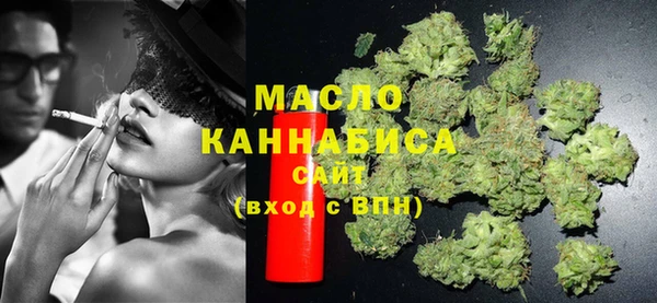 гидра Кодинск