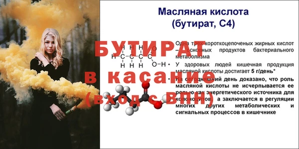 гидра Кодинск