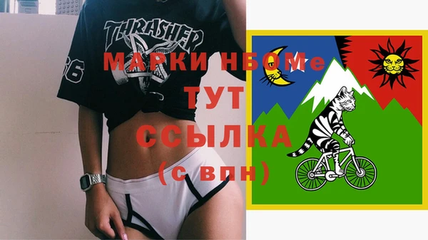 гидра Кодинск