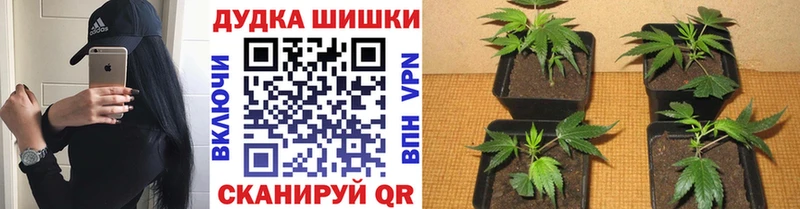 Купить  Миллерово  Бошки Шишки Bruce Banner 